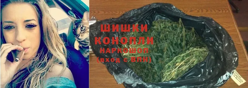 Каннабис White Widow  Болохово 